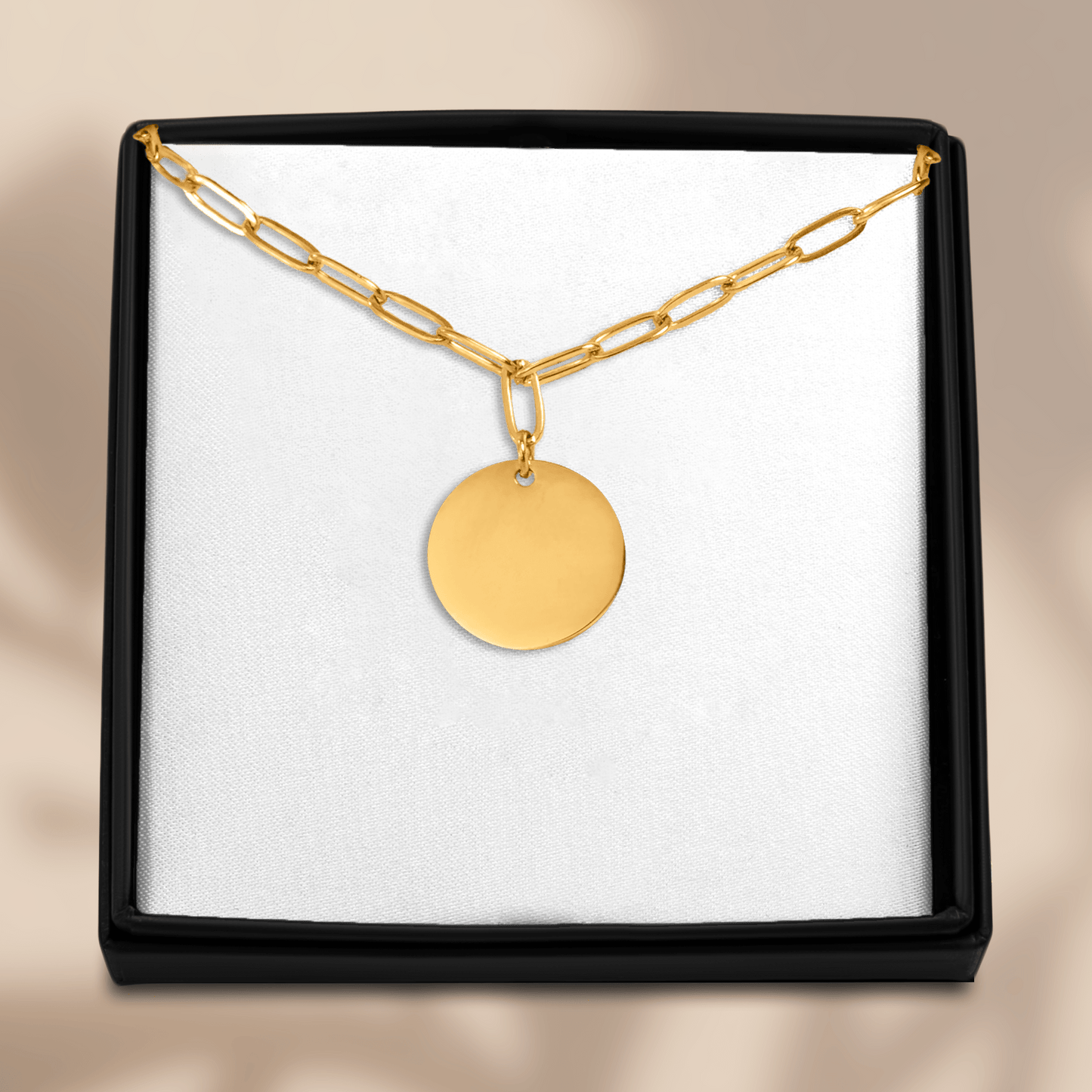 Paperclip Coin Necklace